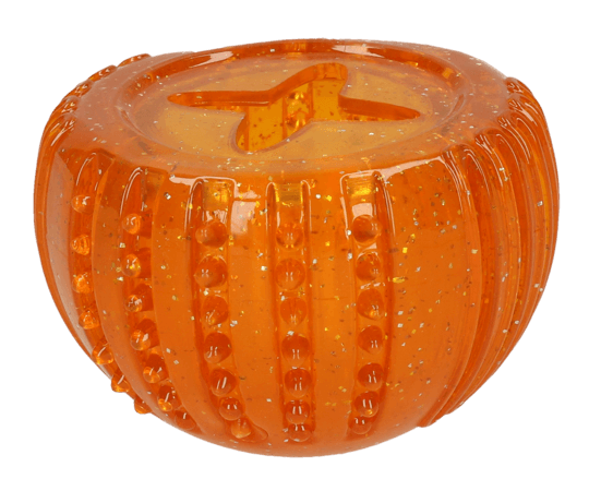 Dog comets orange
