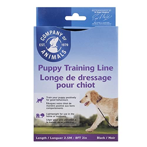Puppy training lijn zwart 2,5m - lange lijn