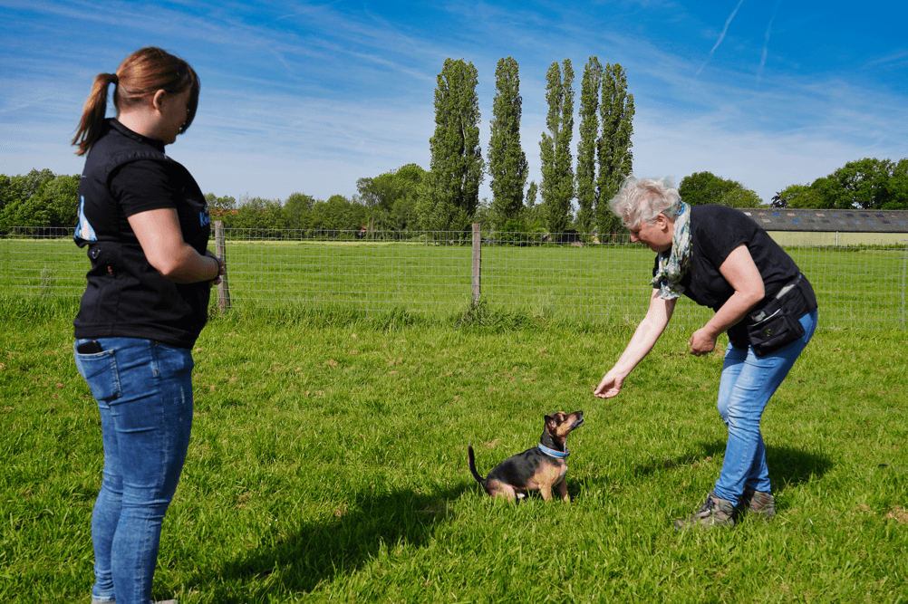 Rust & Beheersing cursus