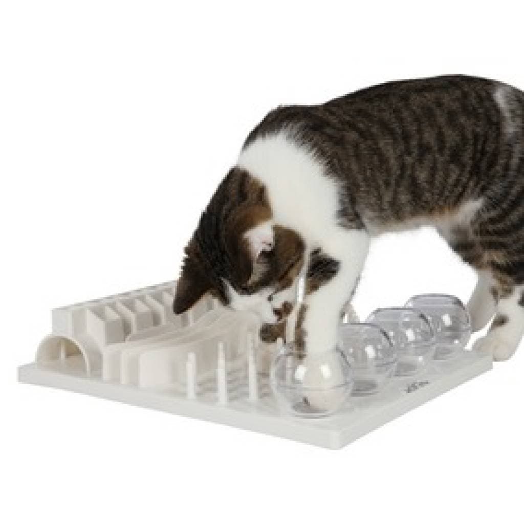 Huur trixie funboard + borg 1 week