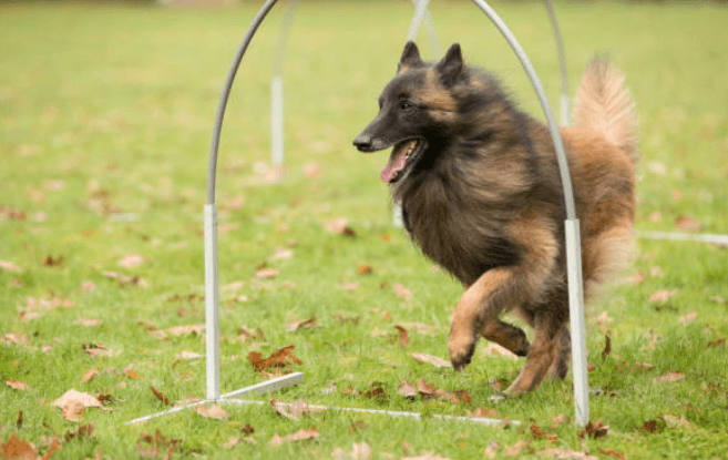 Cursus Hoopers — beeld 2