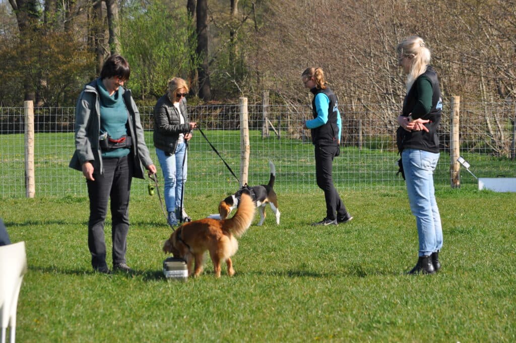 Het team met een blije hond