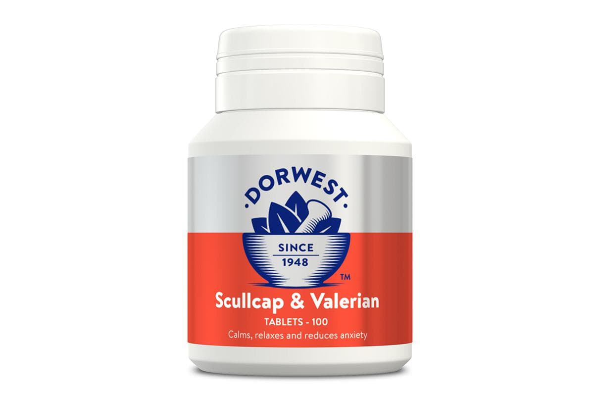 Dorwest scullcap & valerian 200 stuks