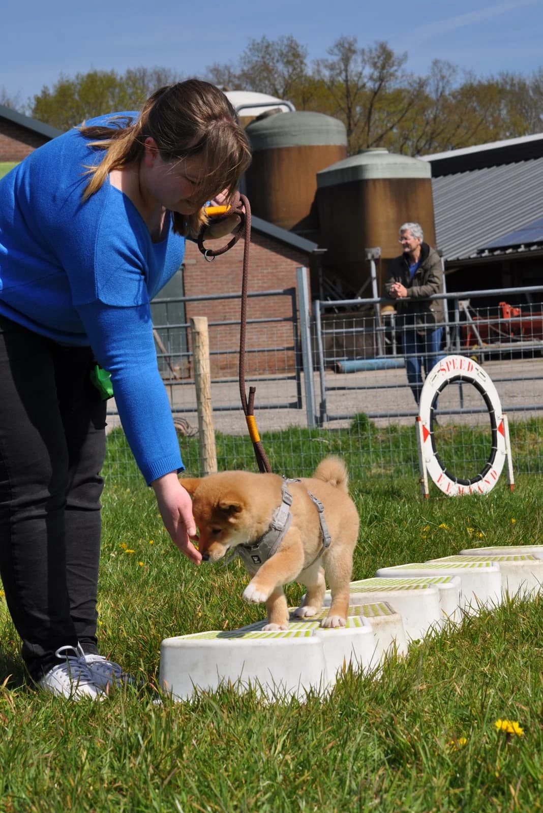 Puppyparcours — beeld 2