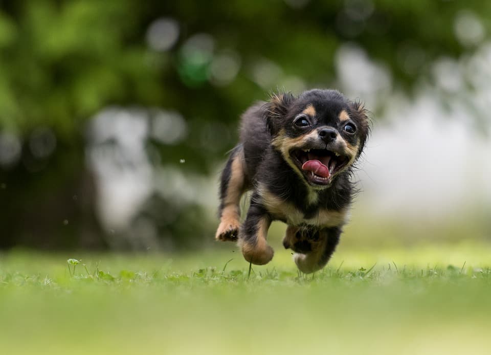Buitenfun cursus — beeld 2