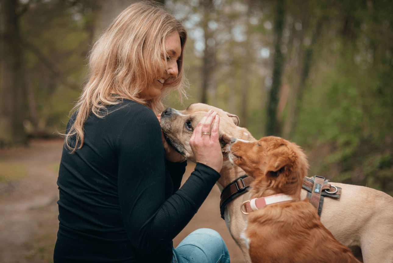 Blije hond rent door het veld