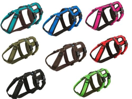 Anny X tuig safety diversen — Zwart · XS
