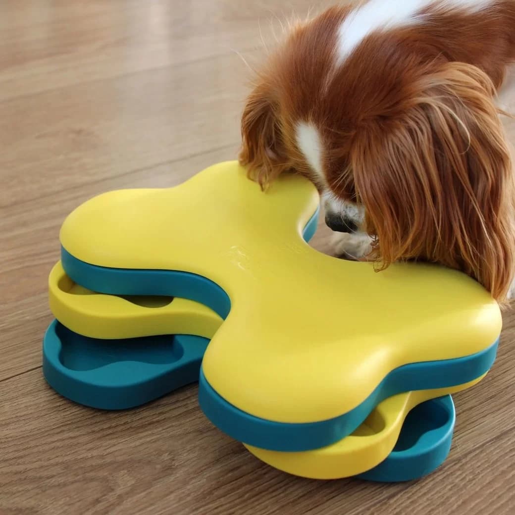 Nina ottosson dog tornado huur