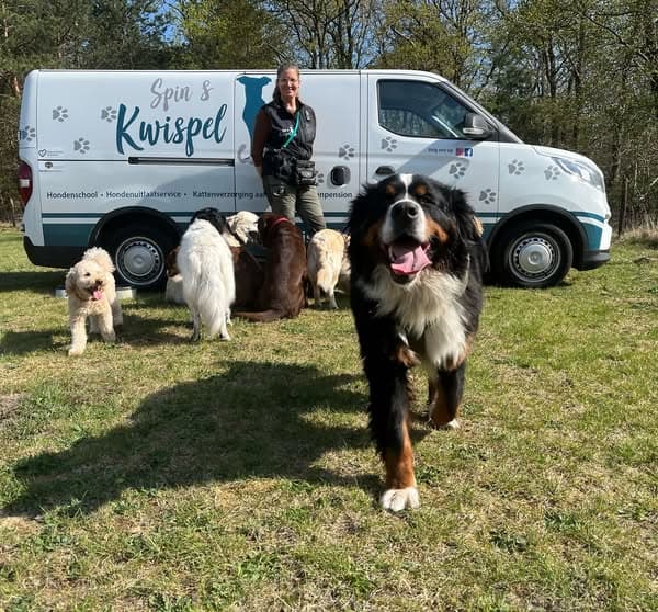 Blije hond geniet van een wandeling