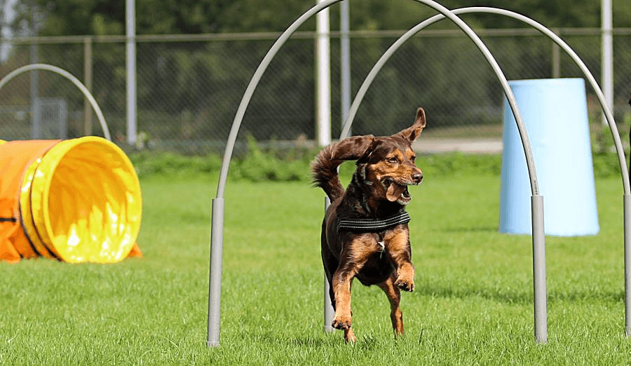 Sport & Spel — beeld 4