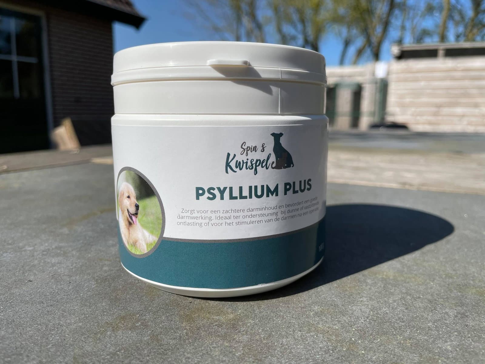 Psyllium plus 100gr