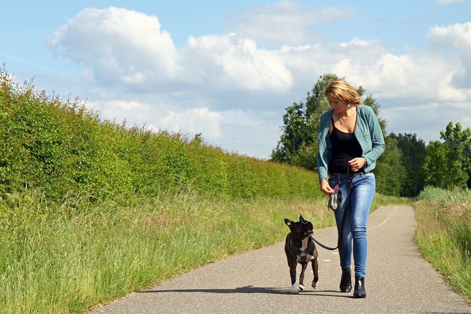 Themales Wandelen zonder trekken